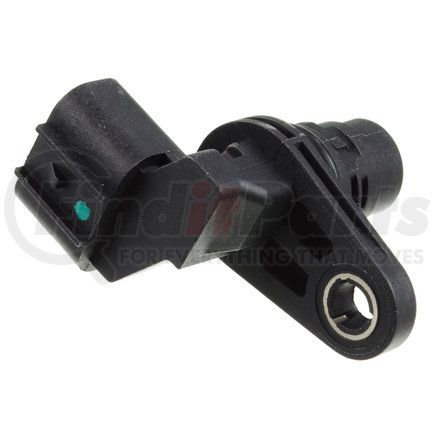 Holstein 2CAM0300