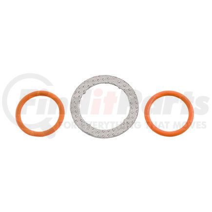 Alliant Power AP0005 EXHAUST GAS RECIRCULATION (EGR) VALVE O-RING KIT