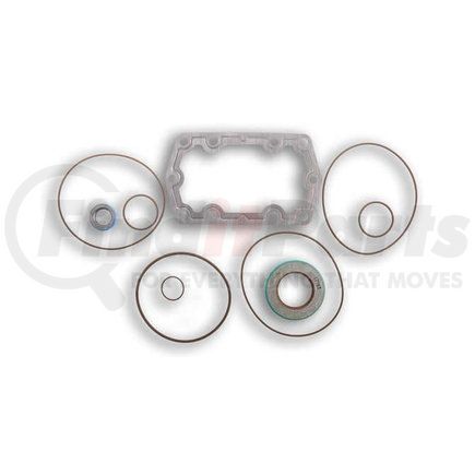 Chelsea 329071-46X KIT GASKET & SEAL-XY