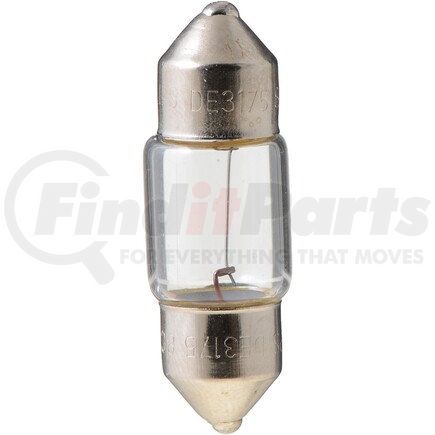 Phillips Industries DE3175B2 Dome Light Bulb - Blister Pack