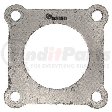 Mahle F7568 GASKETS