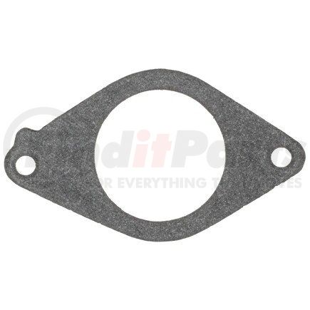 Mahle G31369 GASKETS