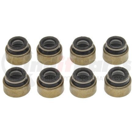 Mahle SS45568 GASKETS