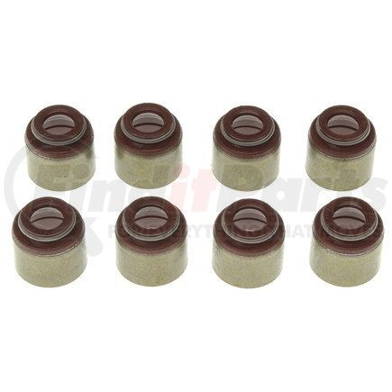 Mahle SS45919 GASKETS