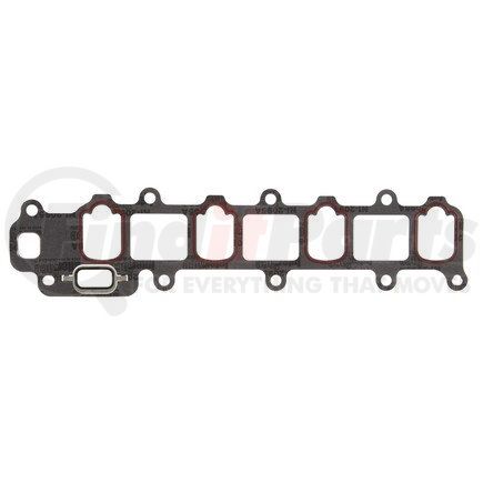 Mahle MS16155 GASKETS