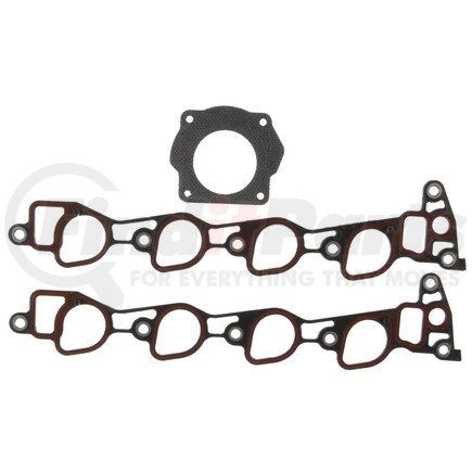 Mahle MS16260 GASKETS