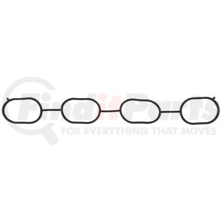 Mahle MS19201 GASKETS