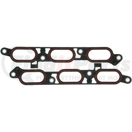 Mahle MS19339 GASKETS