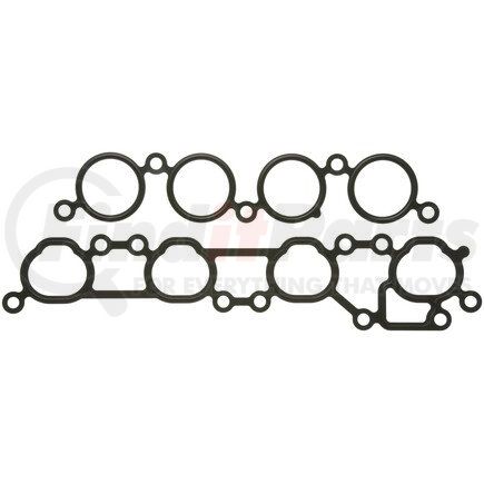 Mahle MS19381 GASKETS
