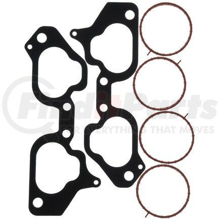 Mahle MS19517 GASKETS