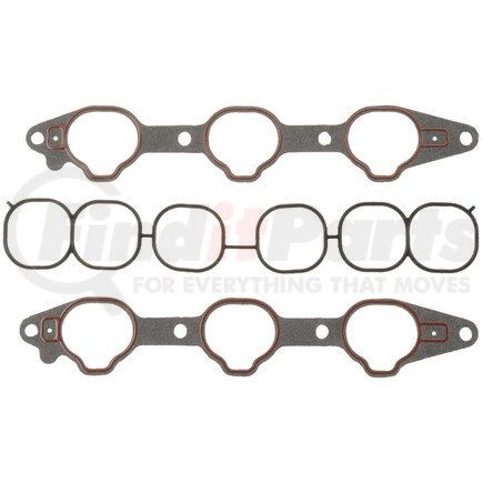Mahle MS19519 GASKETS