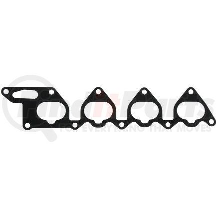 Mahle MS19556 GASKETS