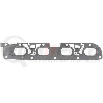 Mahle MS19566 GASKETS