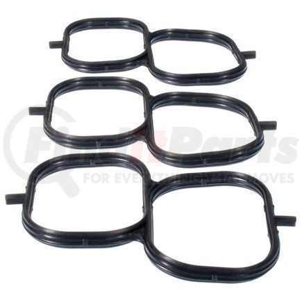 Mahle MS19676 GASKETS