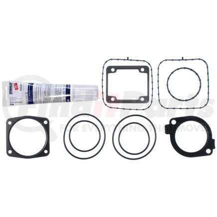 Mahle MS19689 GASKETS