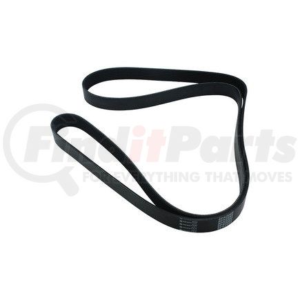 Newstar S-25558 Serpentine Belt, 8 Rib