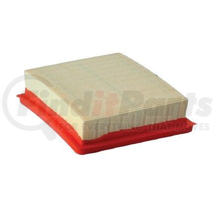 Donaldson P606219 Air Filter, Panel