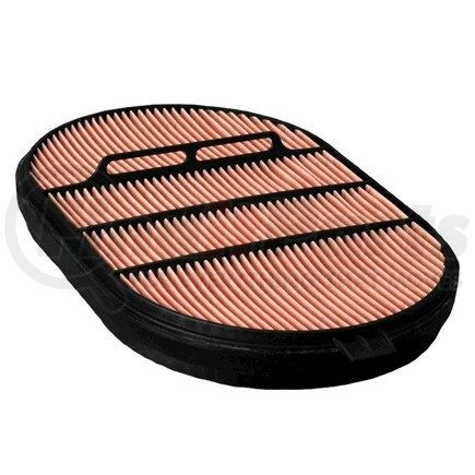 Donaldson P607557 Air Filter