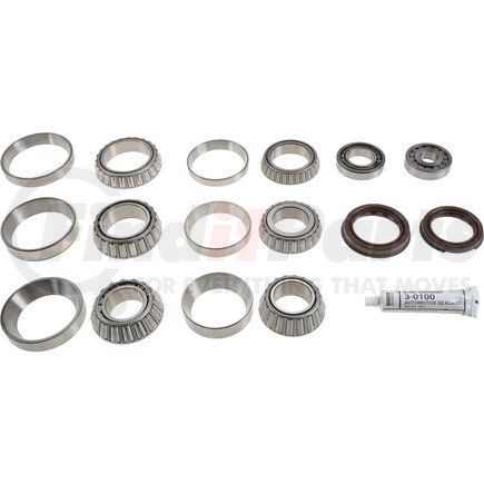 Dana 114394 KIT-BEARING & SEAL