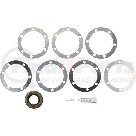 Dana 119796 KIT-OILSEAL & SHIM