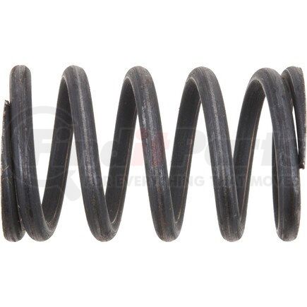 Dana 131102 SPRING (COMPRESSION)