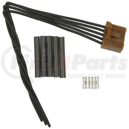 Standard Ignition S1885 PIGTAIL - STANDARD