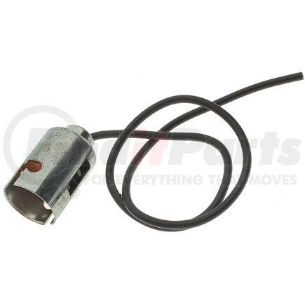 Standard Ignition S21 Pigtail/Socket