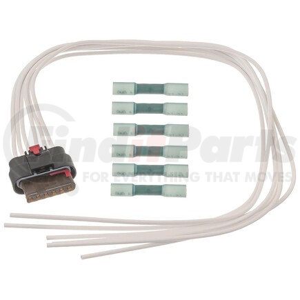 Standard Ignition S2501 MULTI-FUNCTION CONNECTOR