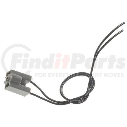 Standard Ignition S529 Pigtail/Socket