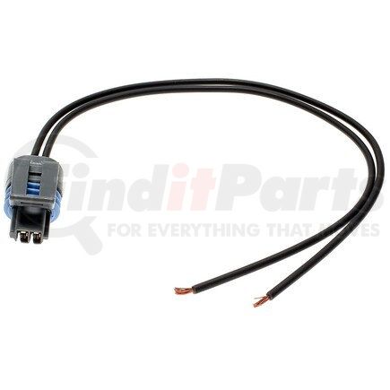 Standard Ignition S-556 Pigtail/Socket