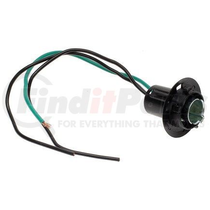 Standard Ignition S600A Pigtail/Socket