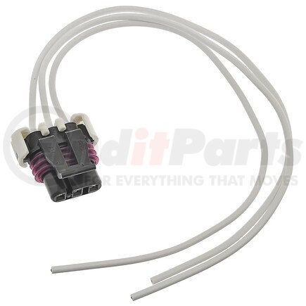 Standard Ignition S656 STANDARD PIGTAIL