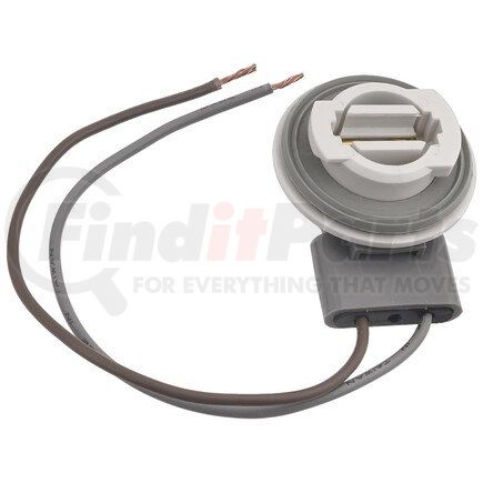 Standard Ignition S770 Pigtail/Socket