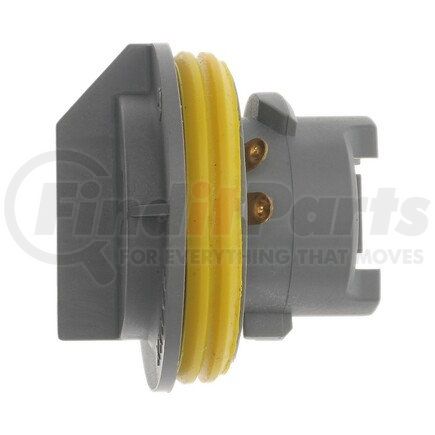 Standard Ignition S771 Pigtail/Socket