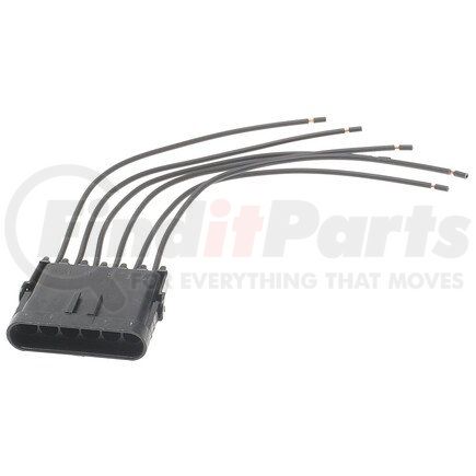 Standard Ignition S-788 Pigtail/Socket