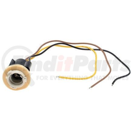 Standard Ignition S77 Pigtail/Socket