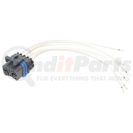 Standard Ignition S-796 Pigtail/Socket