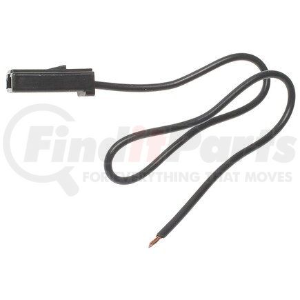 Standard Ignition S81 Pigtail/Socket