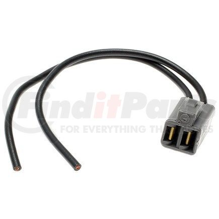 Standard Ignition S84 Pigtail/Socket