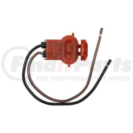 Standard Ignition S904 STANDARD PIGTAIL