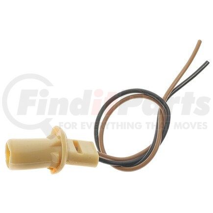 Standard Ignition S97 Pigtail/Socket