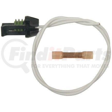 Standard Ignition S-1031 PIGTAIL - STANDARD