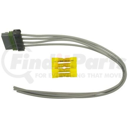 Standard Ignition S-1352 Pigtail/Socket