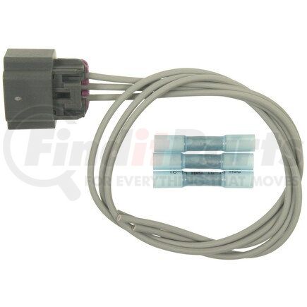 Standard Ignition S1445 STANDARD PIGTAIL