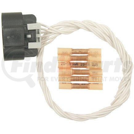 Standard Ignition S1479 STANDARD PIGTAIL