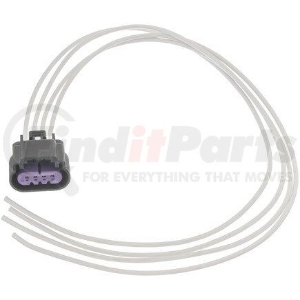 Standard Ignition S1589 STANDARD PIGTAIL