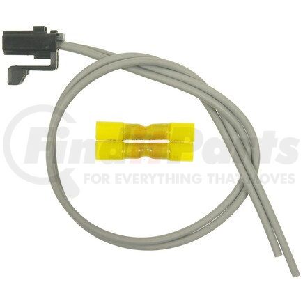 Standard Ignition S1631 STANDARD PIGTAIL