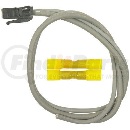 Standard Ignition S1646 PIGTAIL - STANDARD