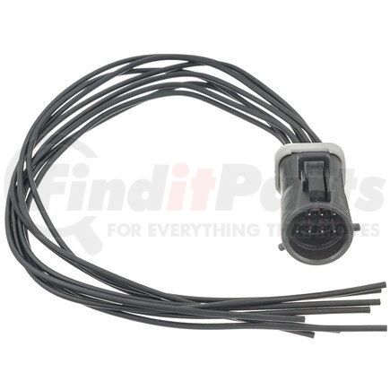 Standard Ignition S-1756 PIGTAIL - STANDARD