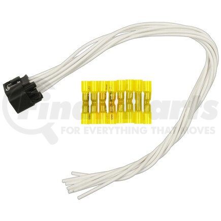 Standard Ignition S-1793 PIGTAIL - STANDARD